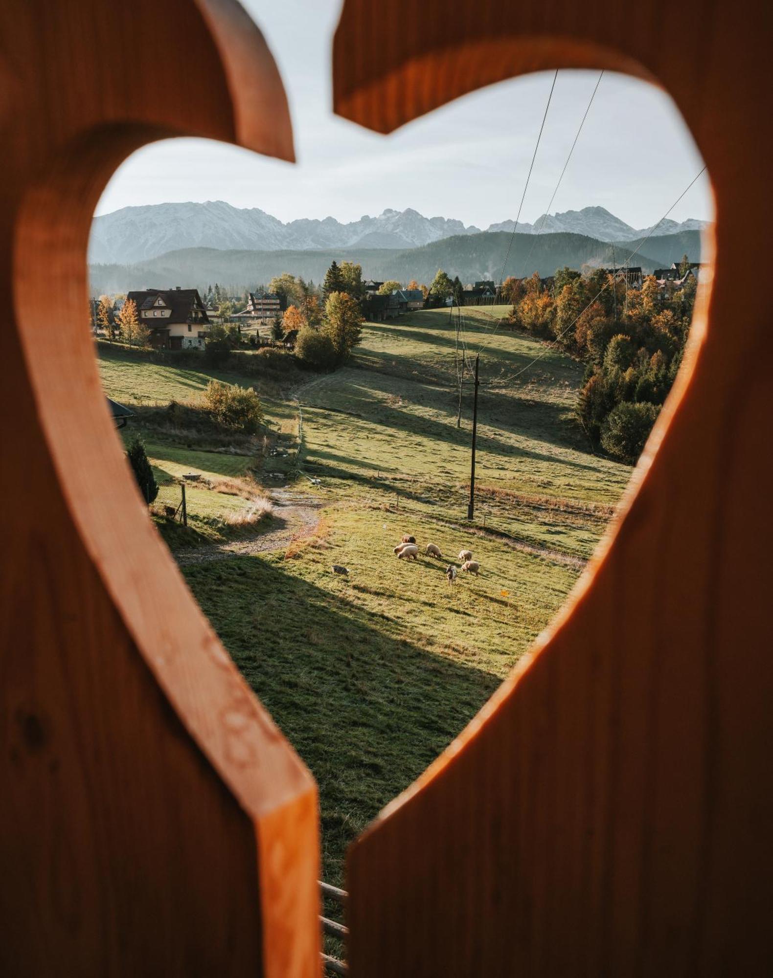 Willa Mountain Base - Dom Hrabiego Zakopane Zewnętrze zdjęcie